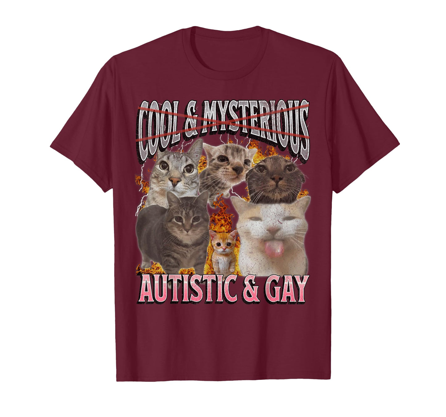 Autistic and Gay Funny Cat Meme Bootleg Graphic T-Shirt