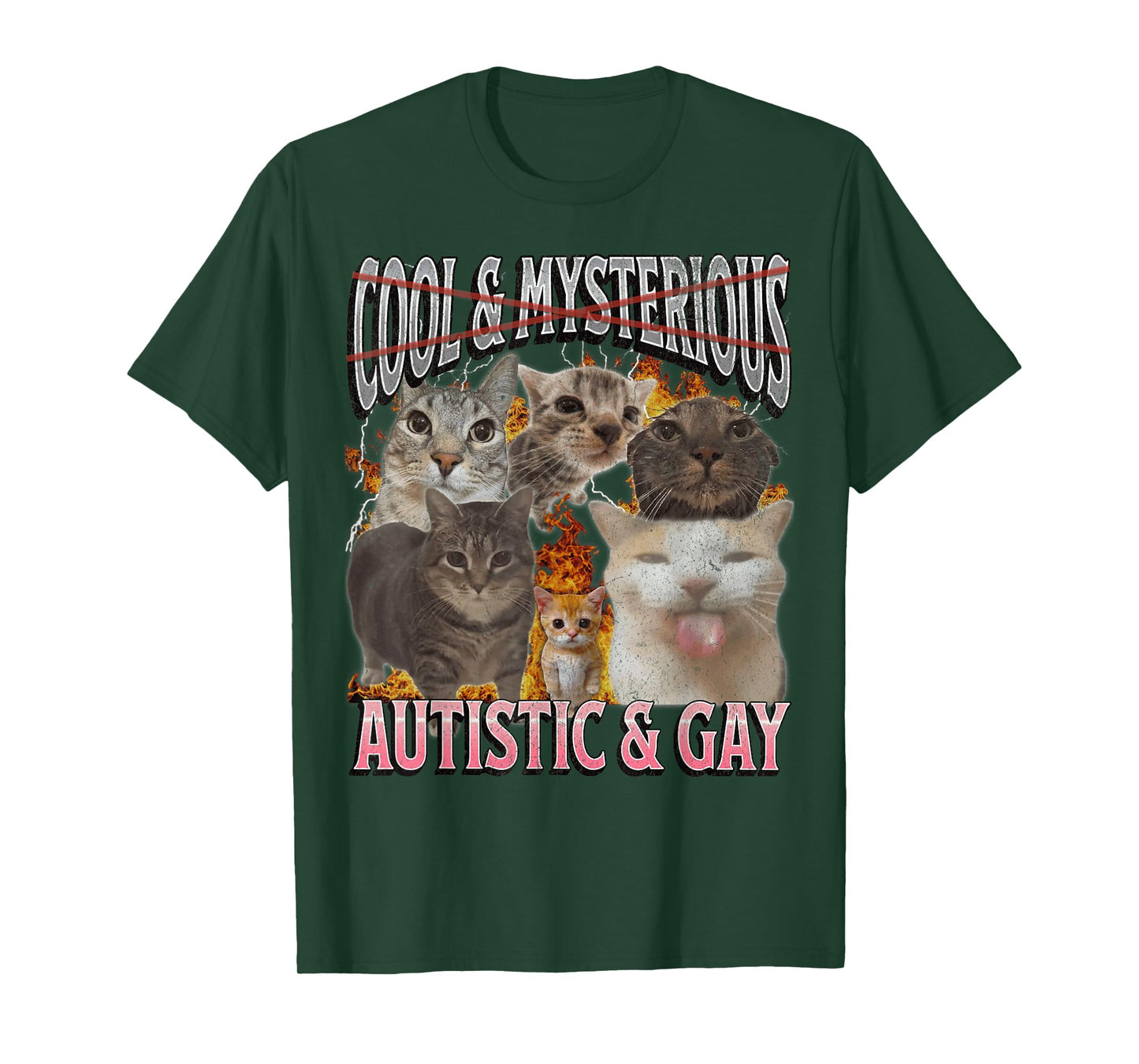Autistic and Gay Funny Cat Meme Bootleg Graphic T-Shirt