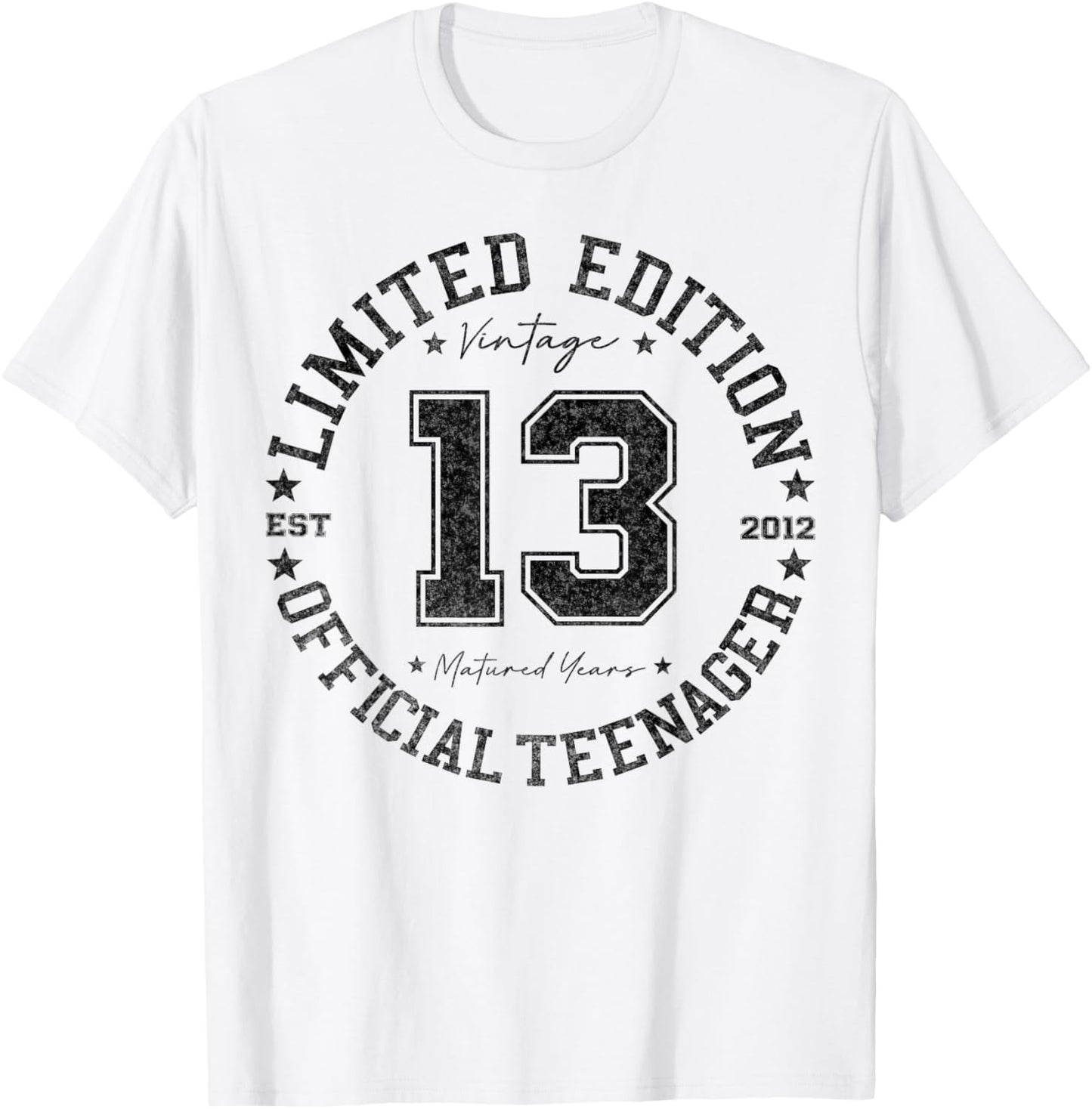 Official Teenager 13 Year Old Gifts Vintage 13th Birthday T-Shirt