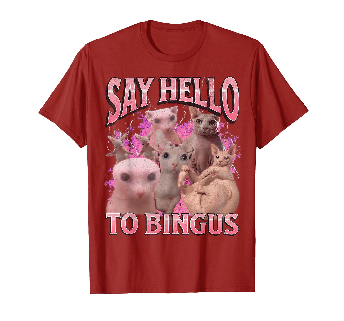 Say Hello To Bingus Funny Sphinx Cat Meme Bootleg Graphic T-Shirt