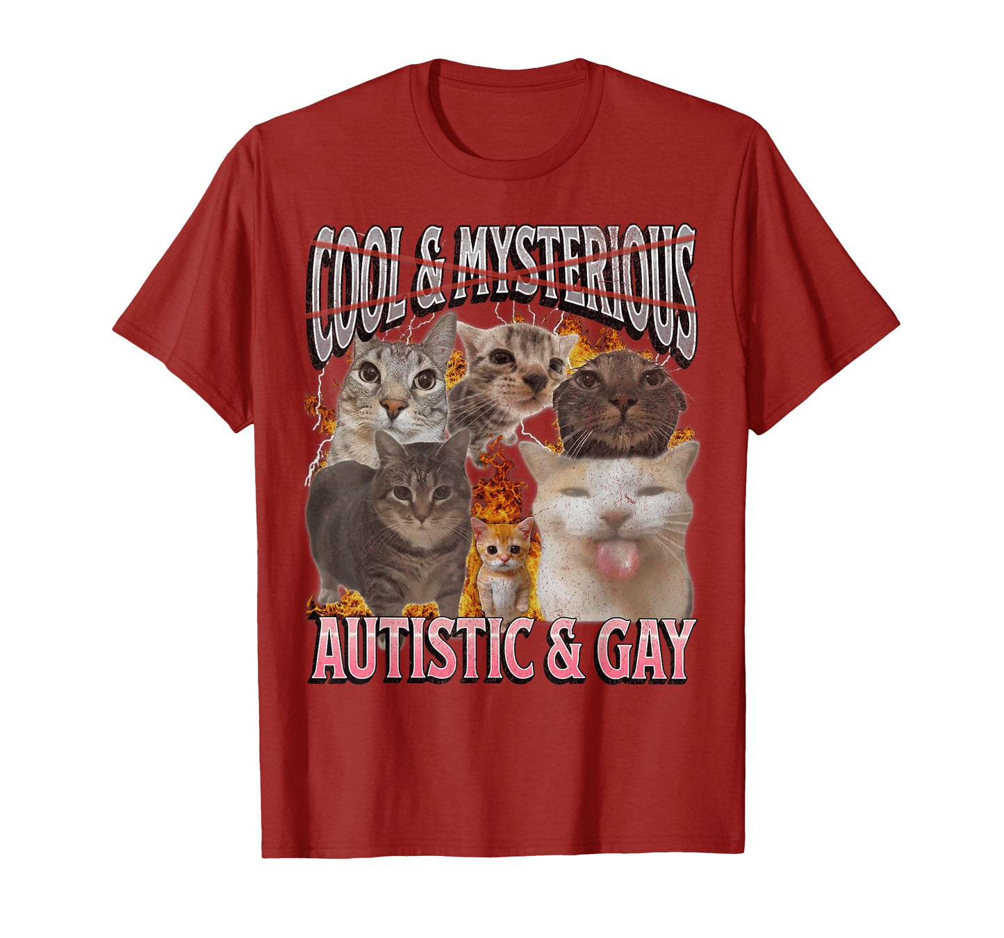 Autistic and Gay Funny Cat Meme Bootleg Graphic T-Shirt