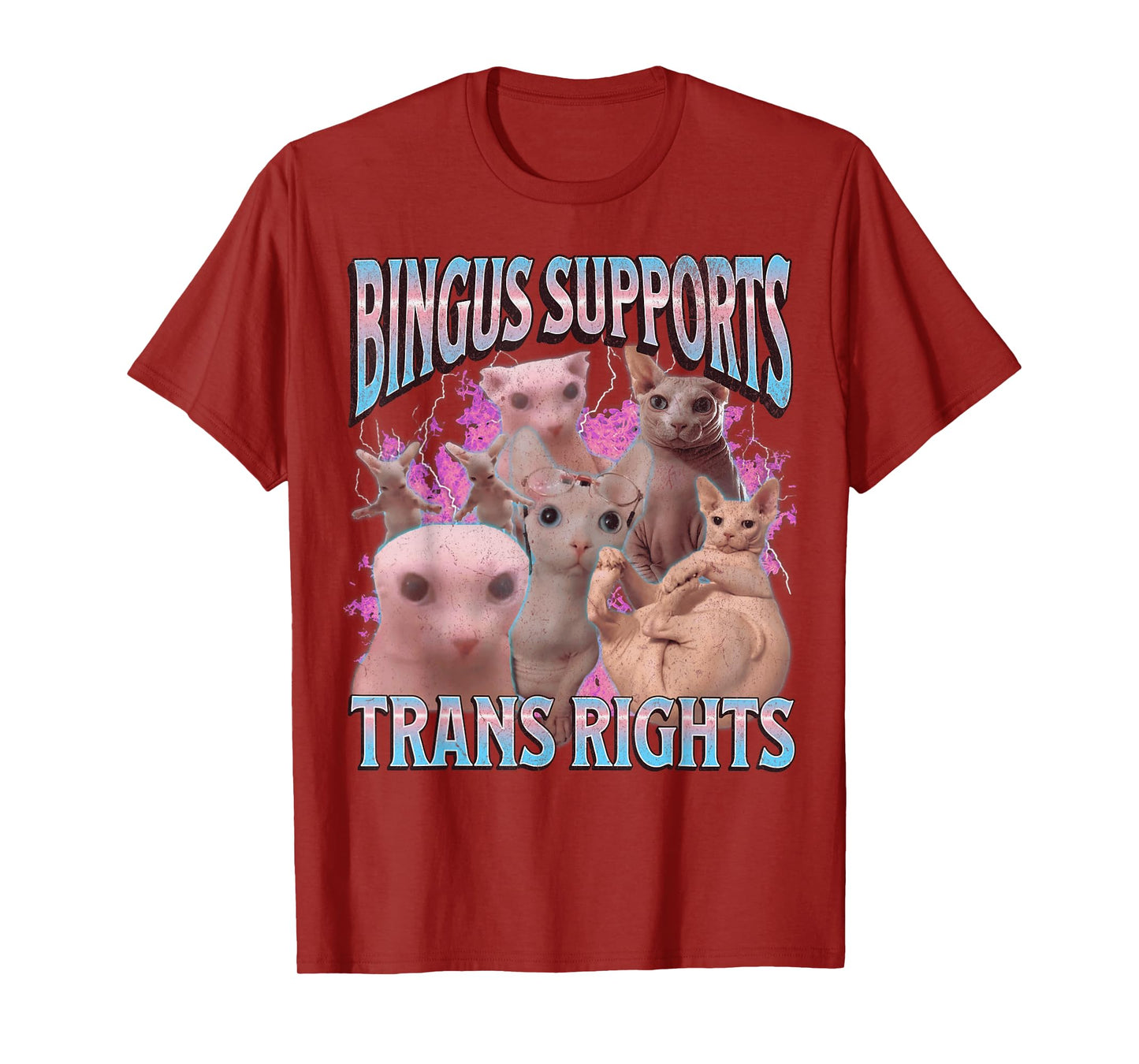 Bingus Supports Trans Rights Funny Sphinx Cat Meme Bootleg Men Women T-Shirt