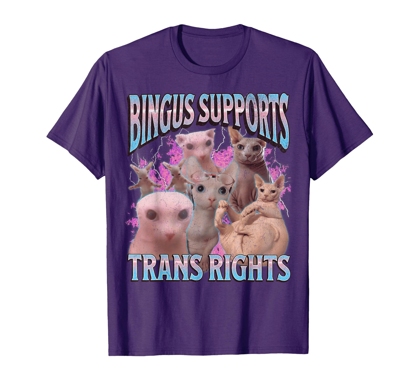 Bingus Supports Trans Rights Funny Sphinx Cat Meme Bootleg Men Women T-Shirt