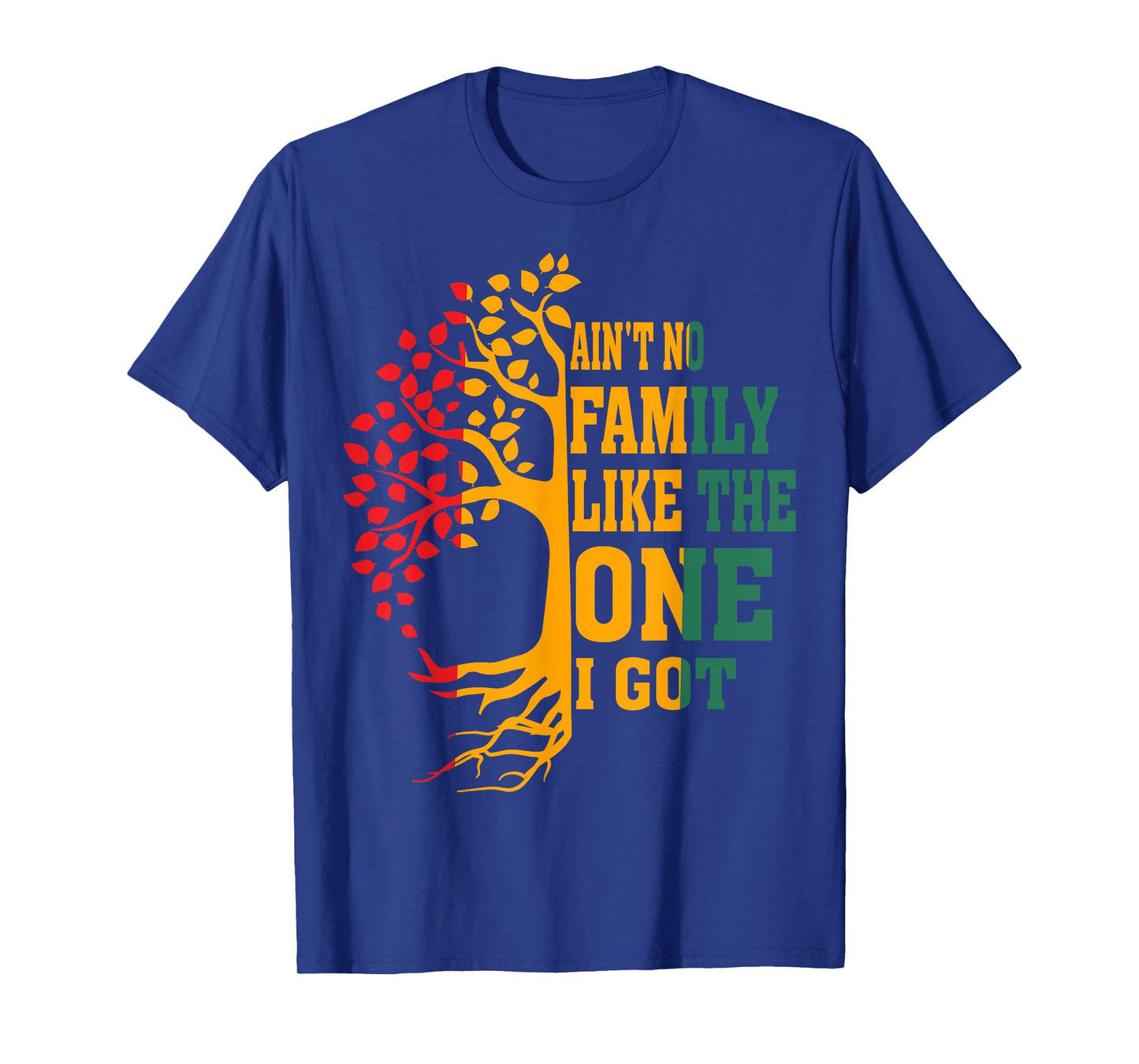 Ain't No Family Like The One I Got Funny Family Reunion 2024 T-Shirt