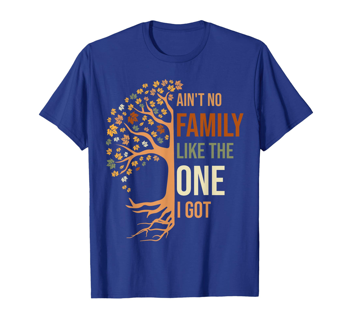 Ain't No Family Like The One I Got Funny Family Reunion T-Shirt