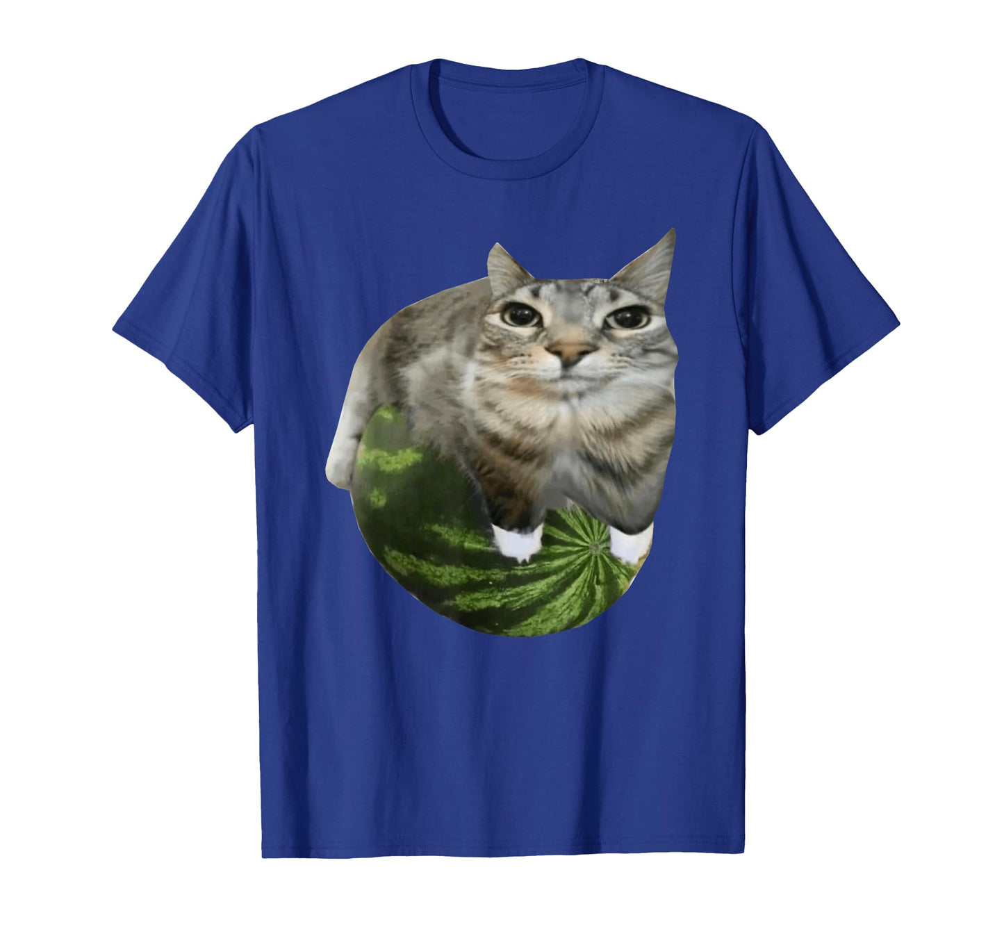 Watermelon Cat Meme T-Shirt