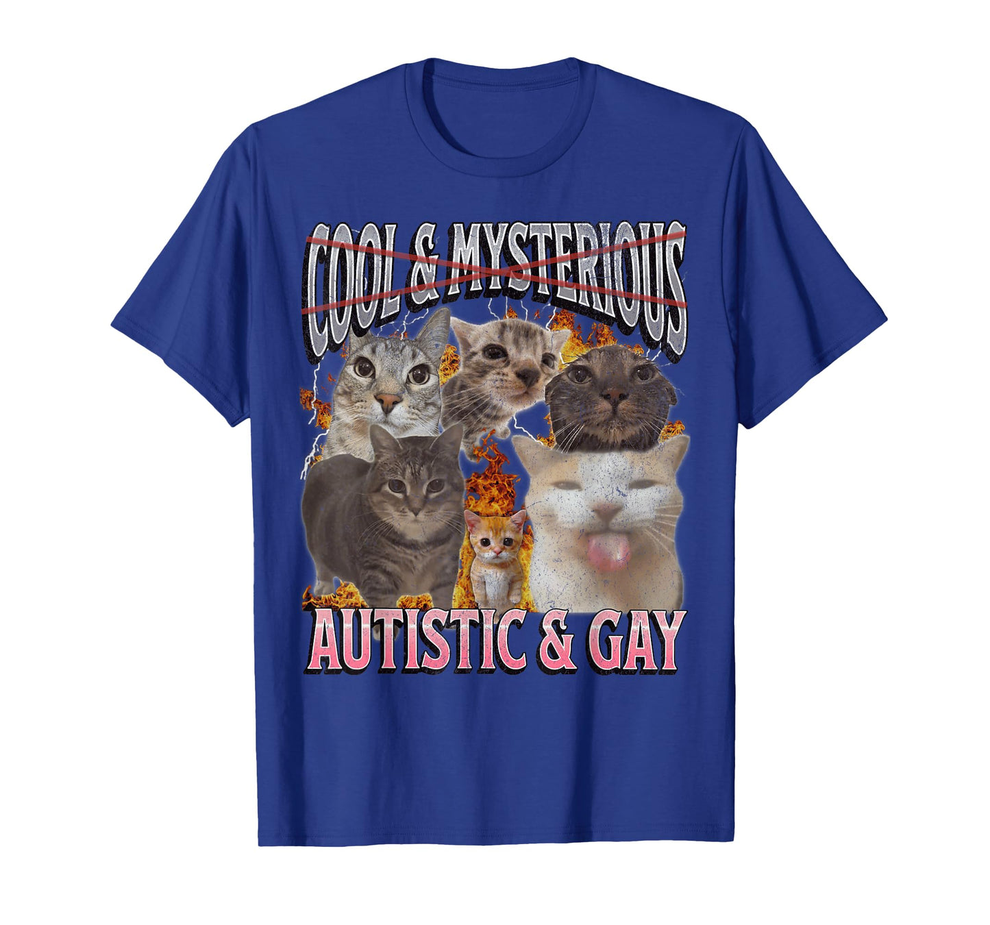 Autistic and Gay Funny Cat Meme Bootleg Graphic T-Shirt