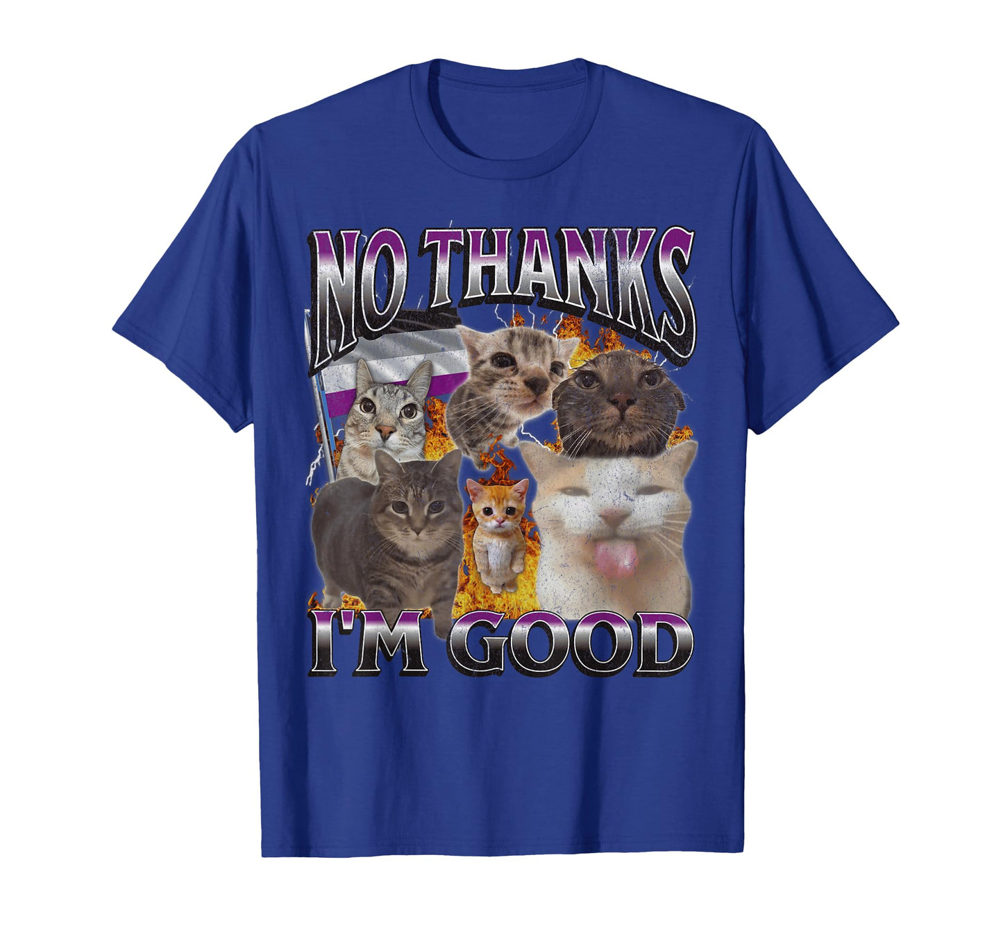 No Thanks I'm Good Funny Asexual Lgbtq Cat Meme Bootleg Men Women T-Shirt
