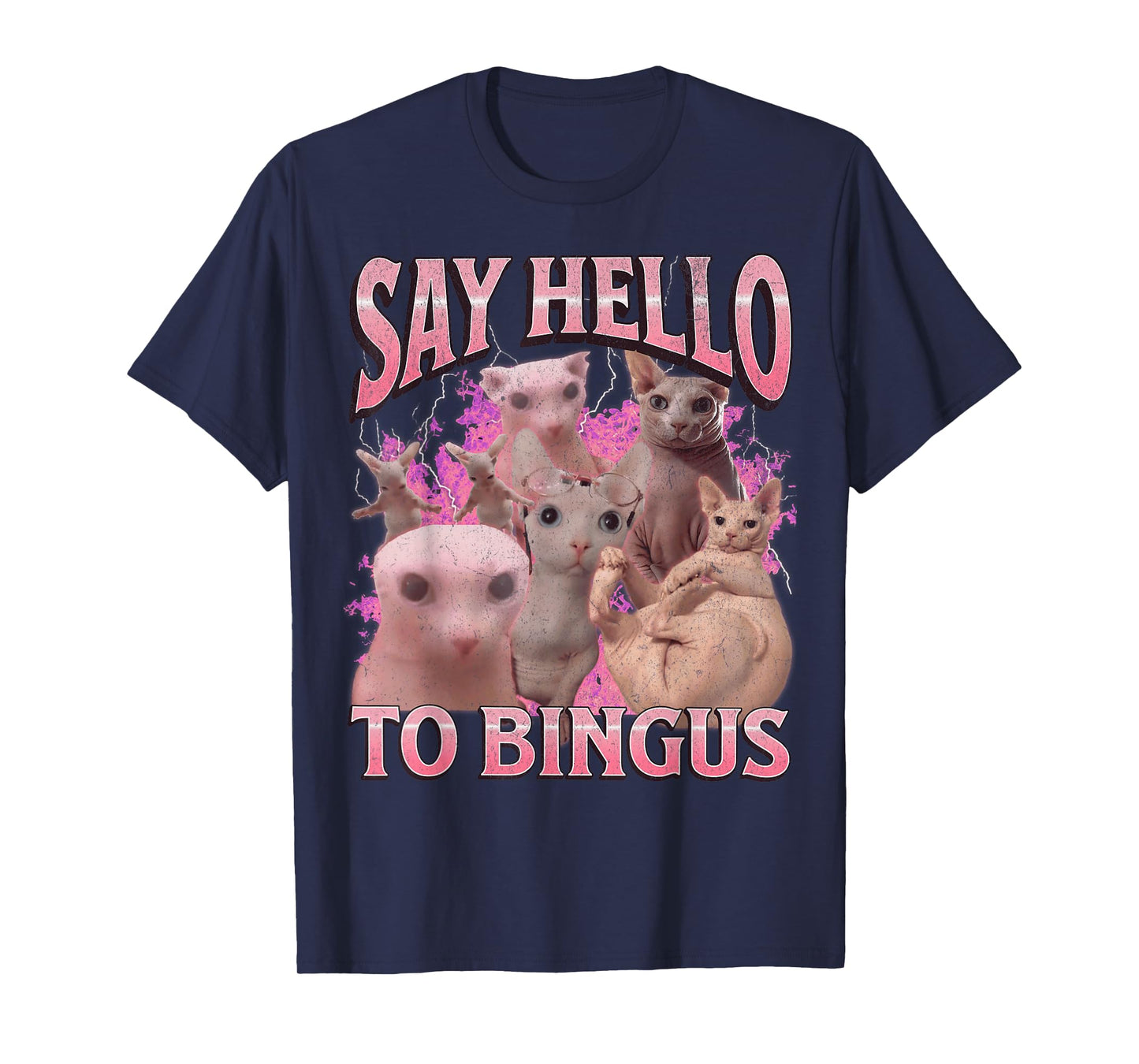 Say Hello To Bingus Funny Sphinx Cat Meme Bootleg Graphic T-Shirt