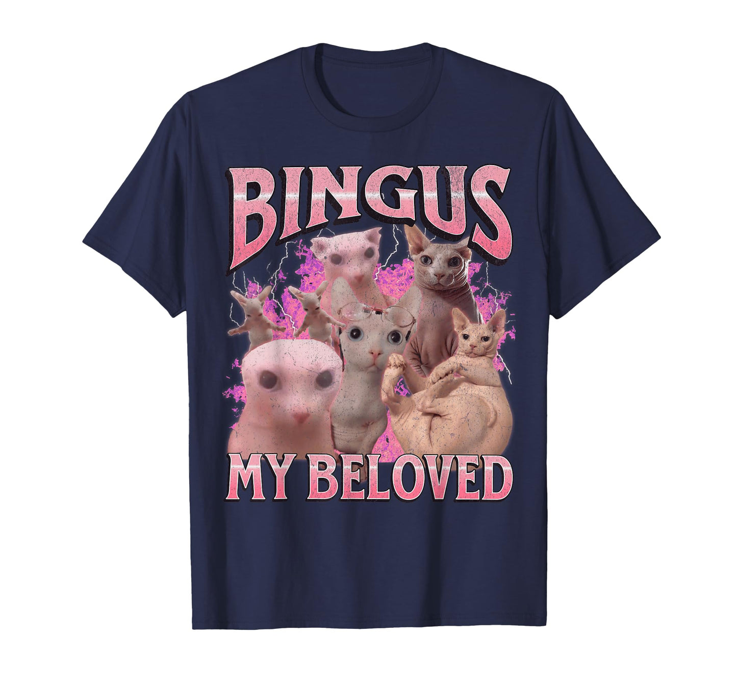 Bingus My Beloved Funny Sphinx Cat Meme Bootleg Graphic T-Shirt for Men Women Kids