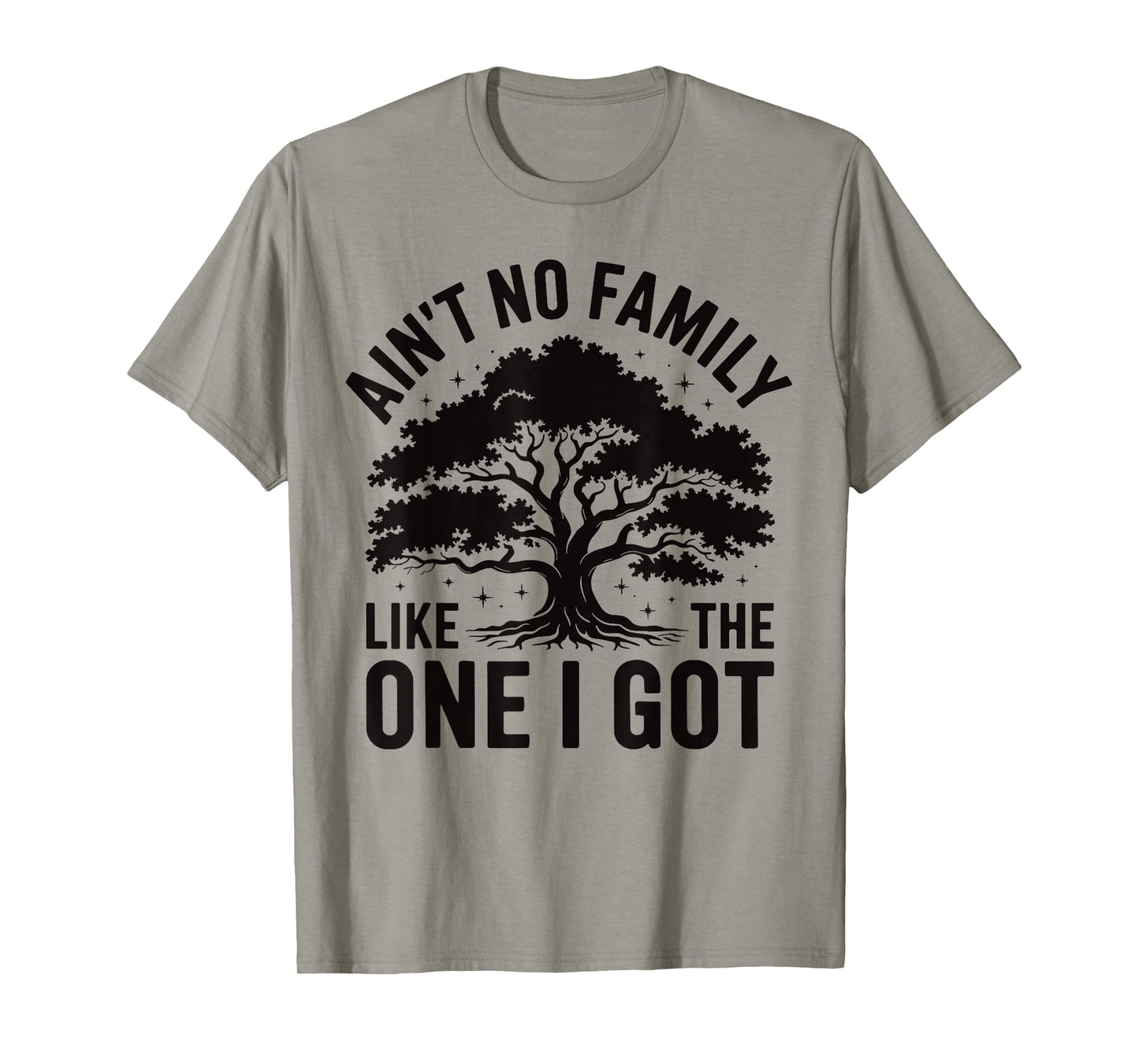 Ain't No Family Like The One I Got Cute Matching Reunion T-Shirt