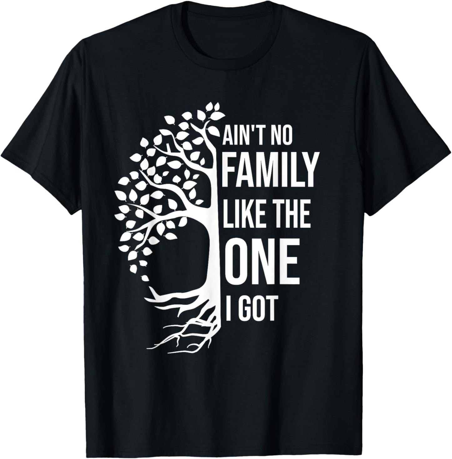 Ain't No Family Like The One I Got Funny Family Reunion 2025 T-Shirt