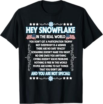 Hey Snowflake the real world t-shirt funny veteran gift T-Shirt