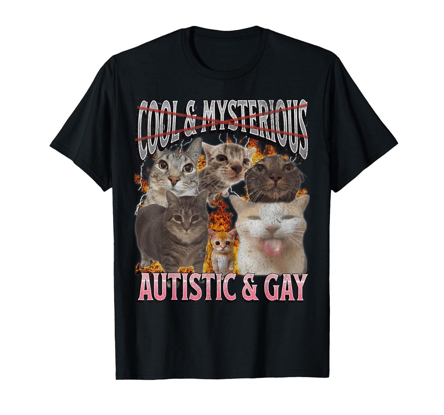 Autistic and Gay Funny Cat Meme Bootleg Graphic T-Shirt