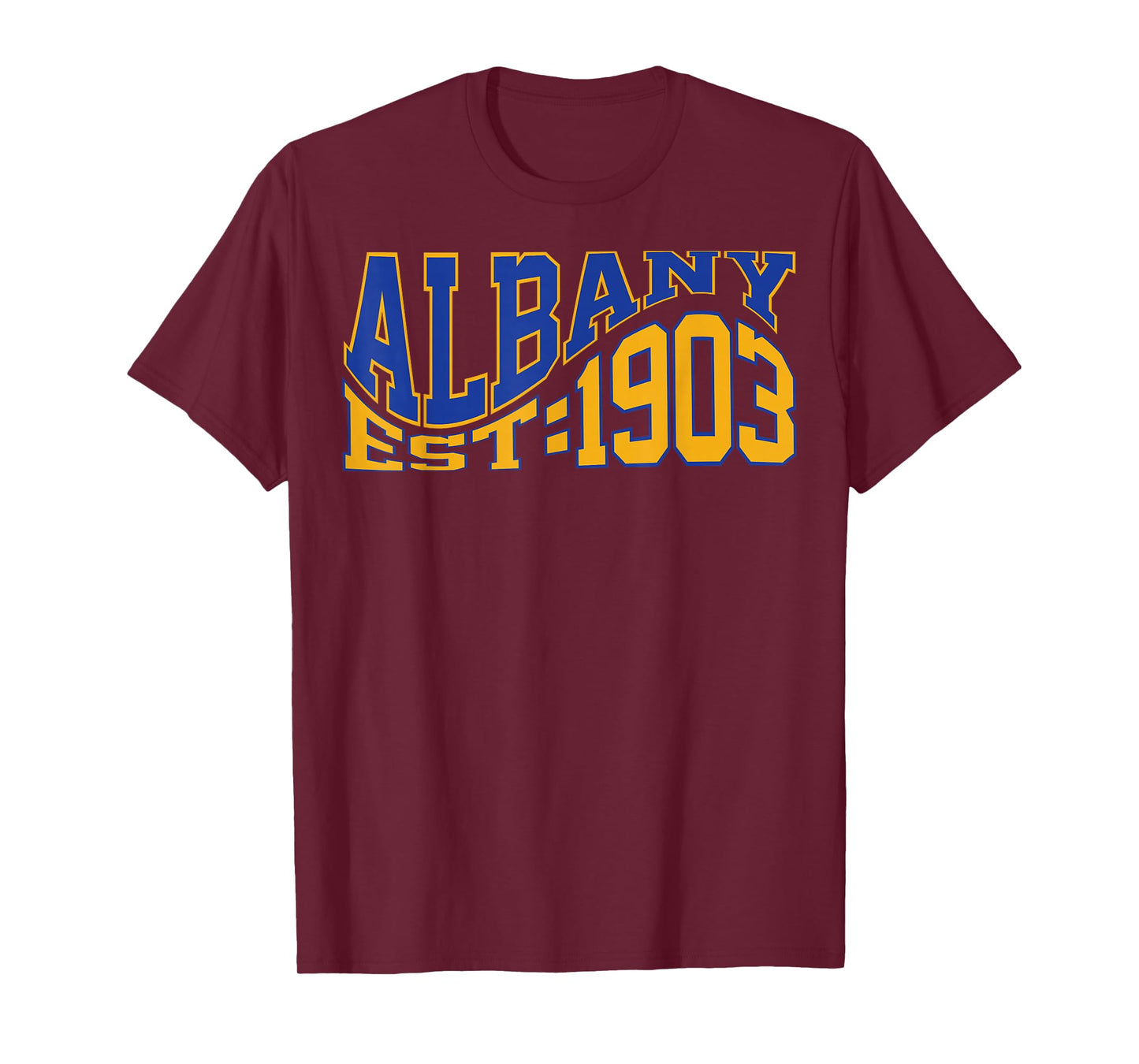 Retro Albany Wave Text City Vintage State T-Shirt