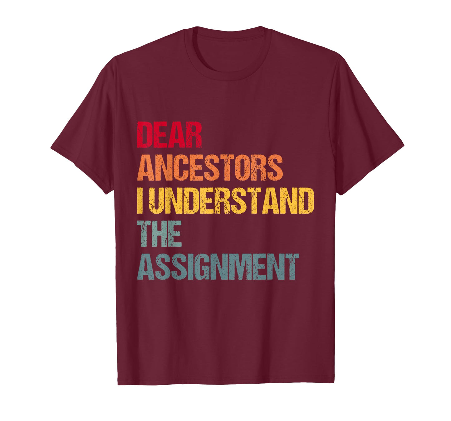Dear Ancestors I Understand The Assignment T-Shirt