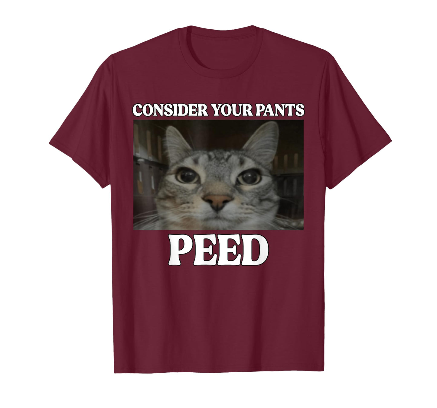 Consider Your Pants Peed Cat Funny Silly Cat Meme T-Shirt