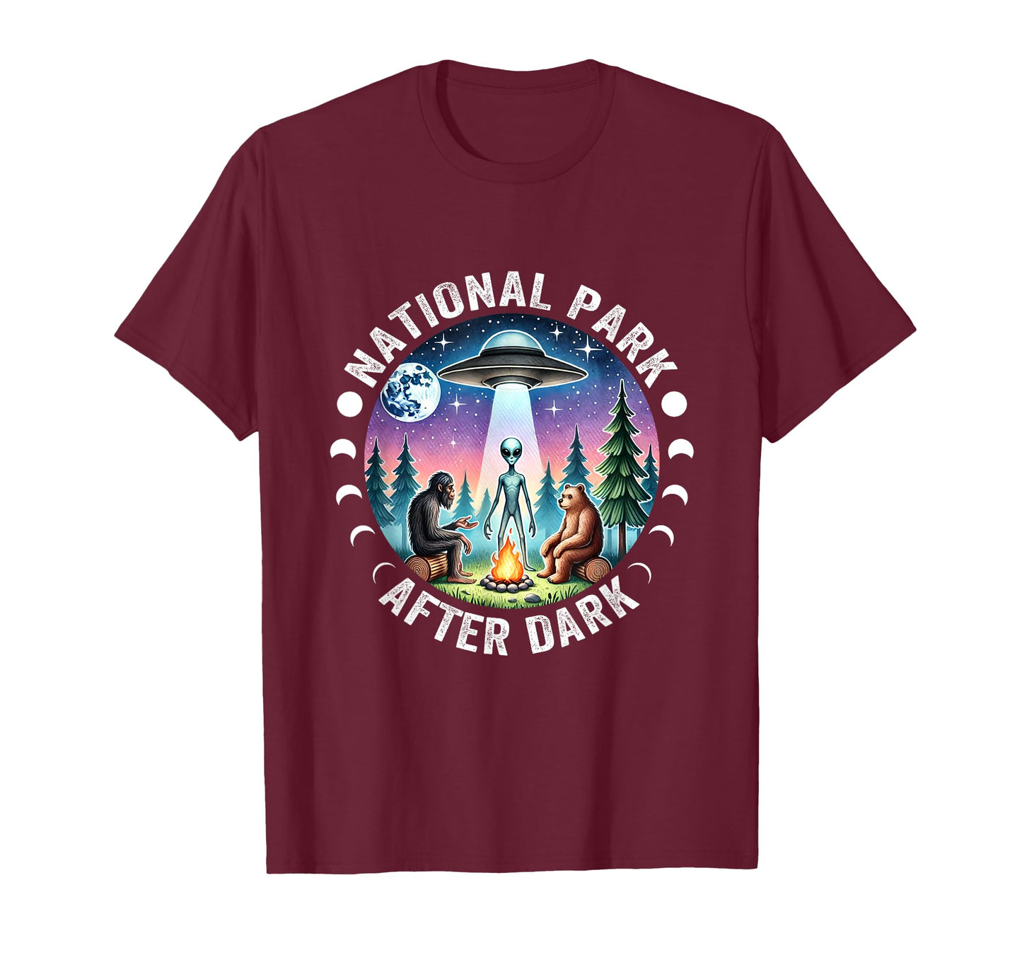 Vintage Retro Funny National Park After the Dark Big foot Alien Campfire T-Shirt, Small, Black