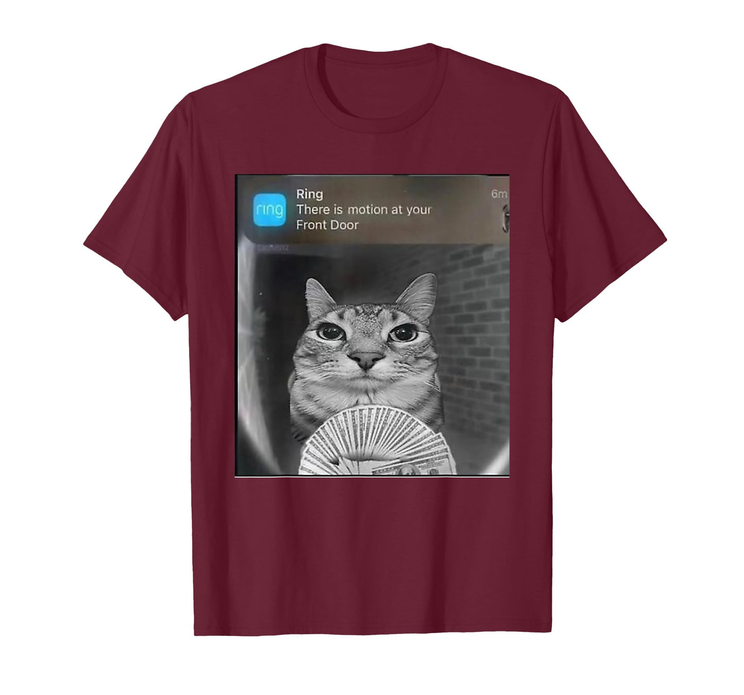 Ring Cat with Motion Meme T-Shirt for Men Women Kids