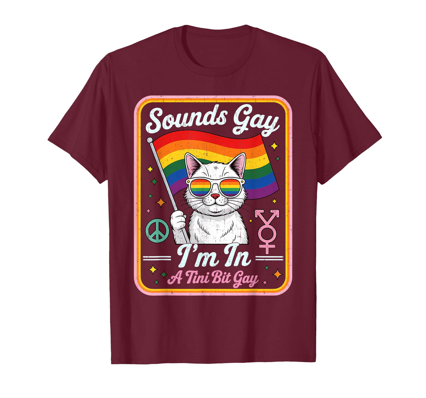 Hilarious LGBTQ Cat Holding Flag with A Tini Bit Gay Quote T-Shirt for Men Women Kids