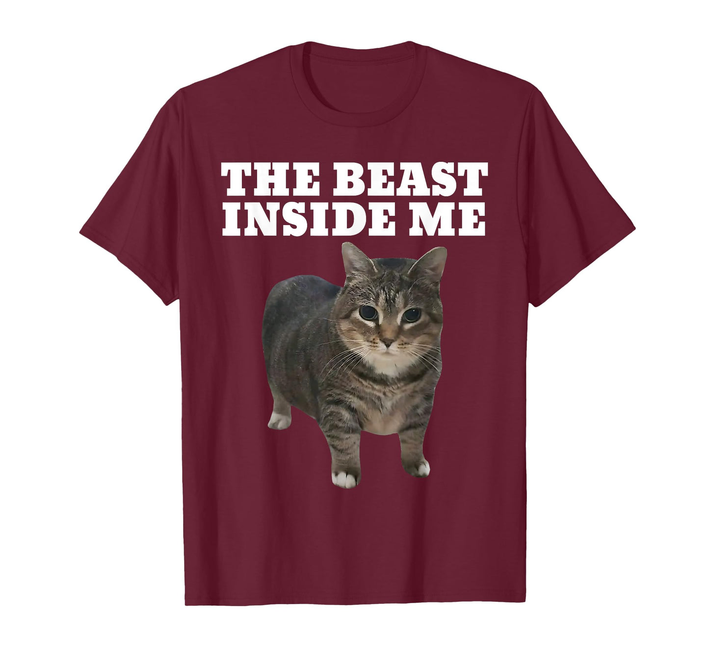 Cat Meme Beast Inside Me Funny T-Shirt