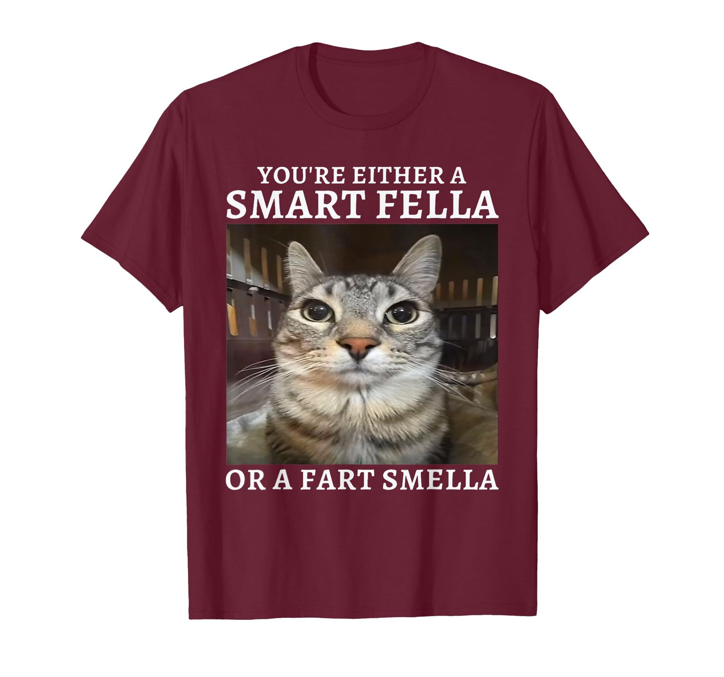 You're Either a Smart Fella or a Fart Smella Funny Cat Meme T-Shirt