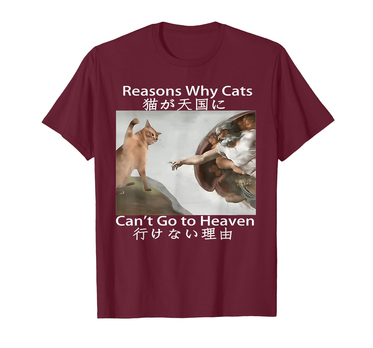 Reasons Why Cats Can’t Go To Heaven Funny Meme T-Shirt