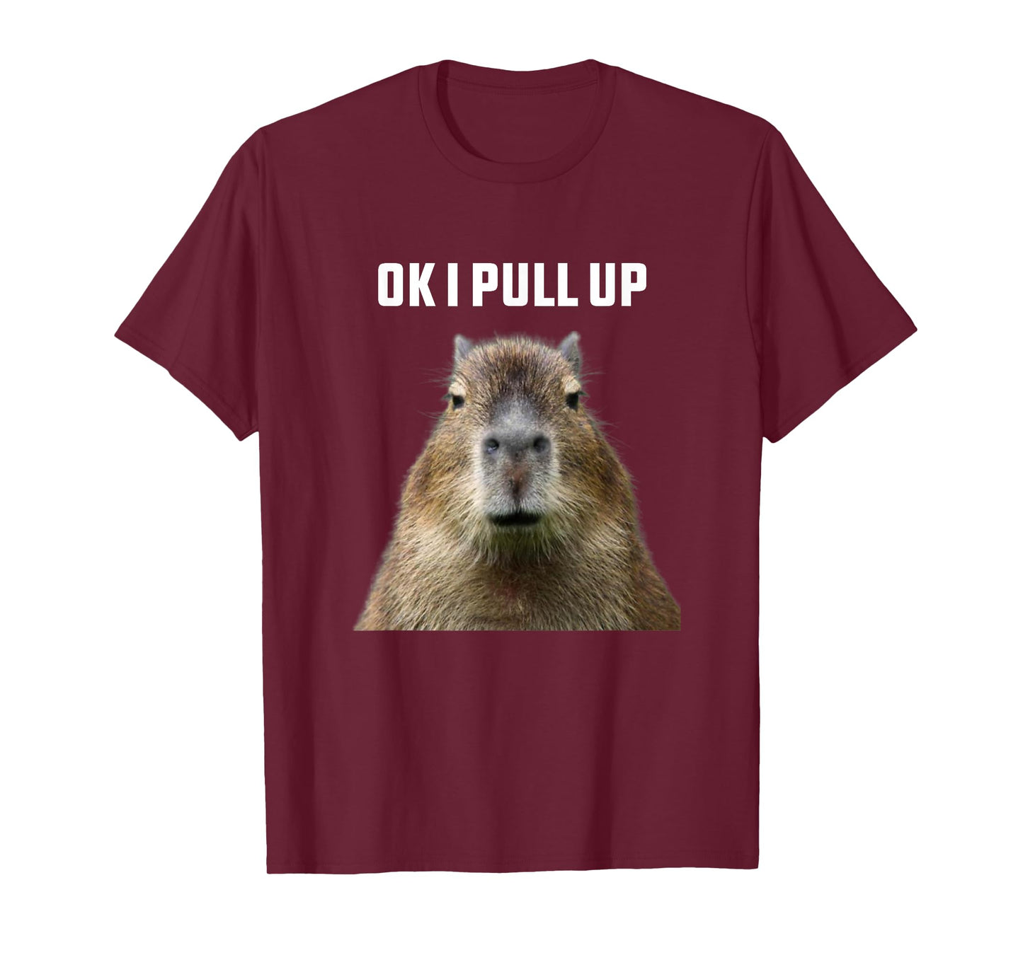 Ok I Pull Up Capybara T-Shirt, Black