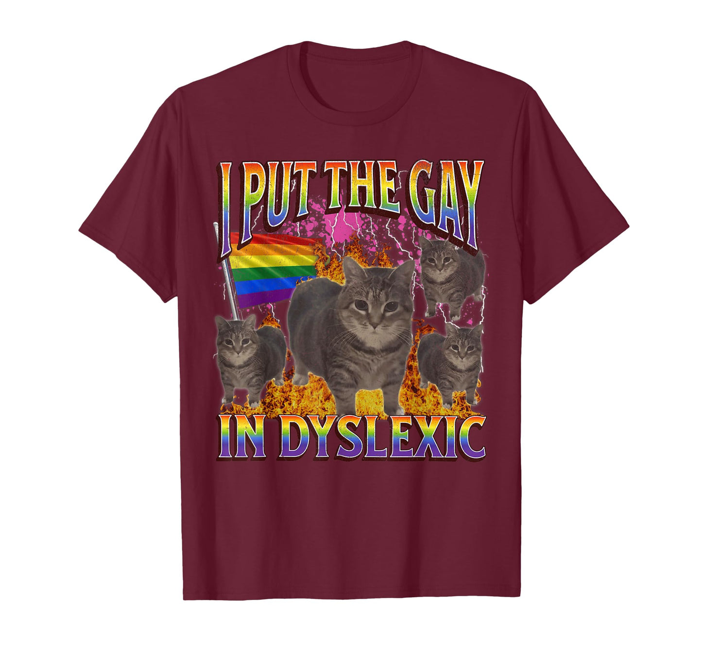 I Put The Gay In Dyslexic Funny Cat Meme Bootleg Graphic T-Shirt for Men Women