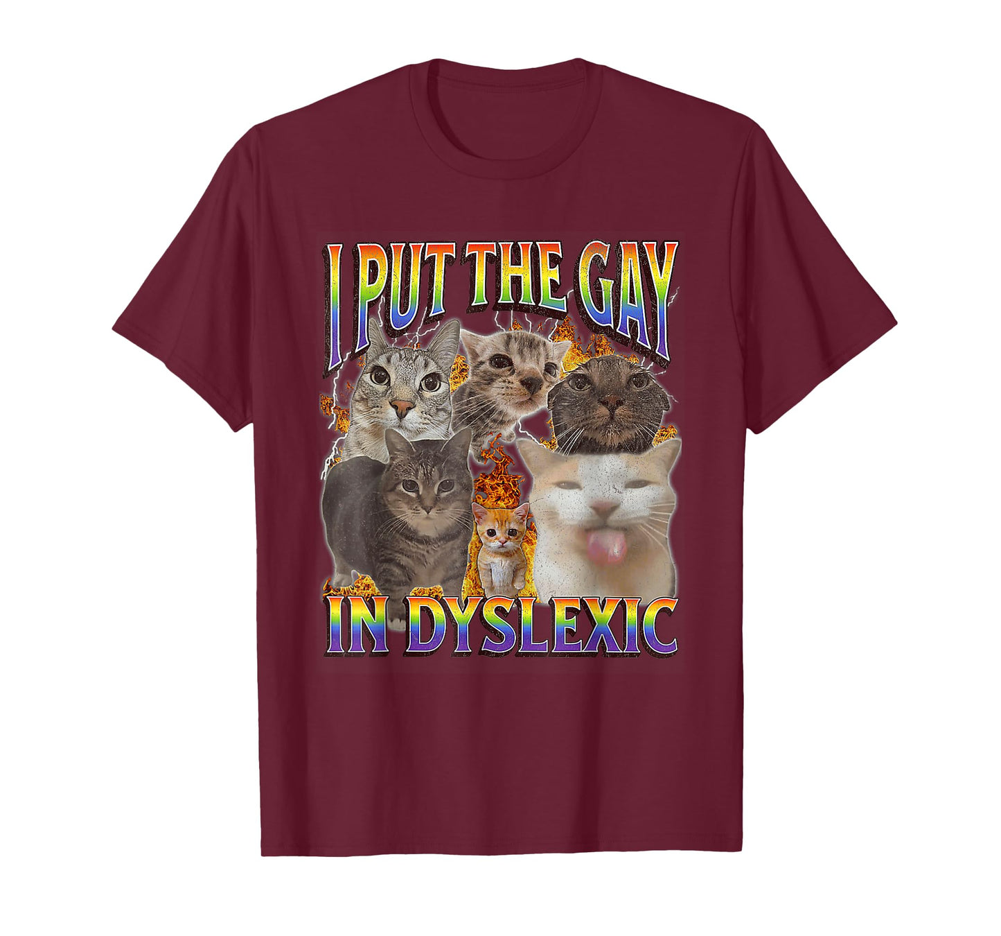I Put The Gay In Dyslexic LGBT Cat Meme Bootleg Graphic T-Shirt