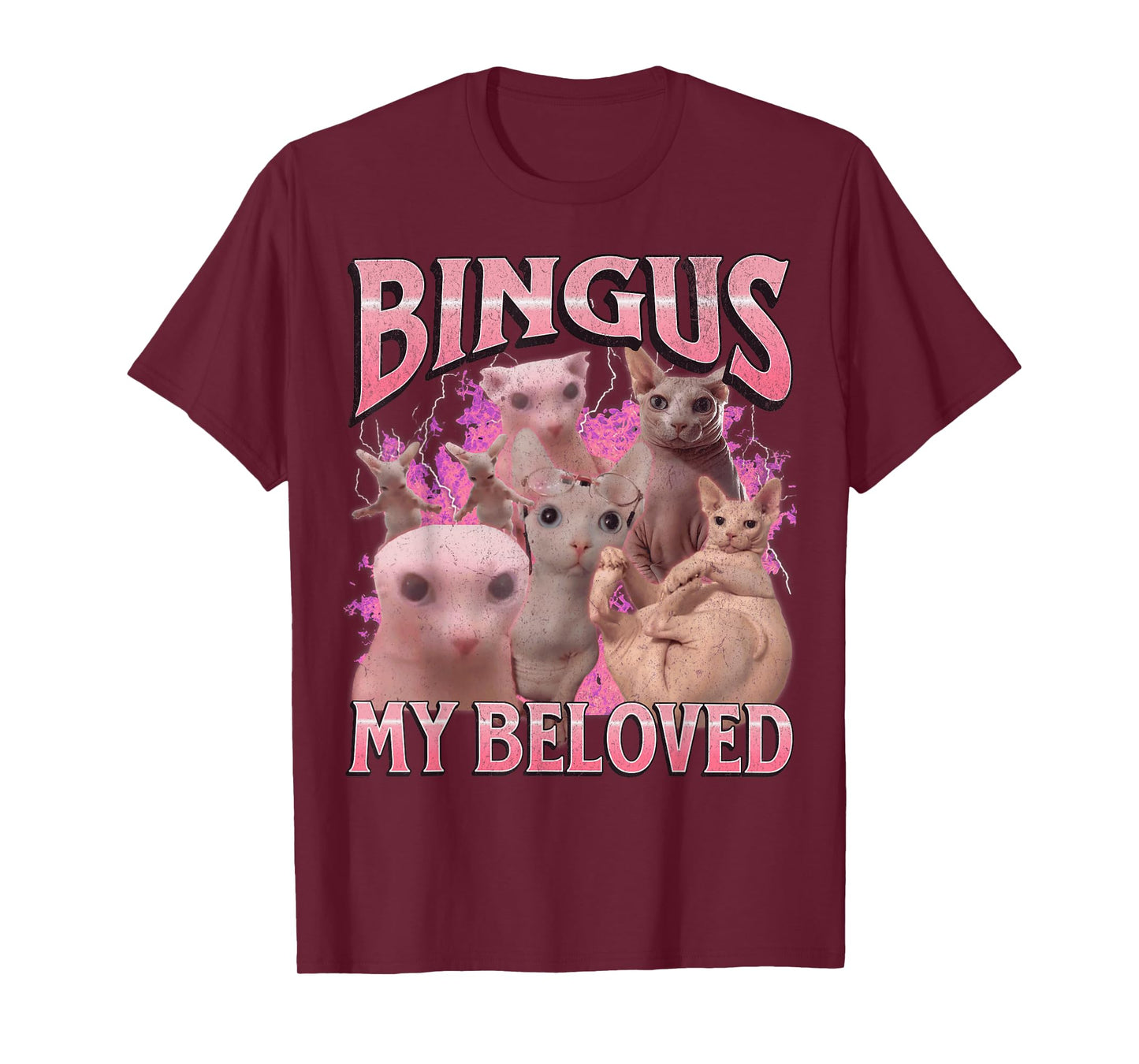 Bingus My Beloved Funny Sphinx Cat Meme Bootleg Graphic T-Shirt for Men Women Kids