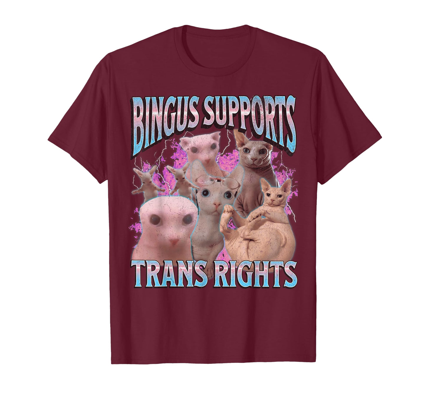 Bingus Supports Trans Rights Funny Sphinx Cat Meme Bootleg Men Women T-Shirt