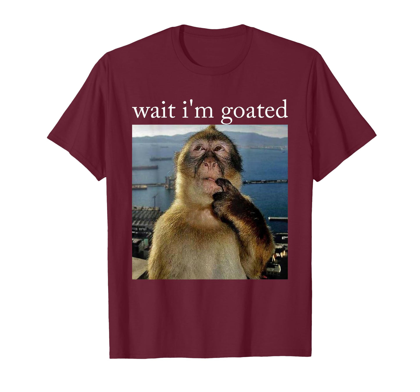 Wait I'm Goated Funny Thinking Monkey Meme Brainrot Gift T-Shirt