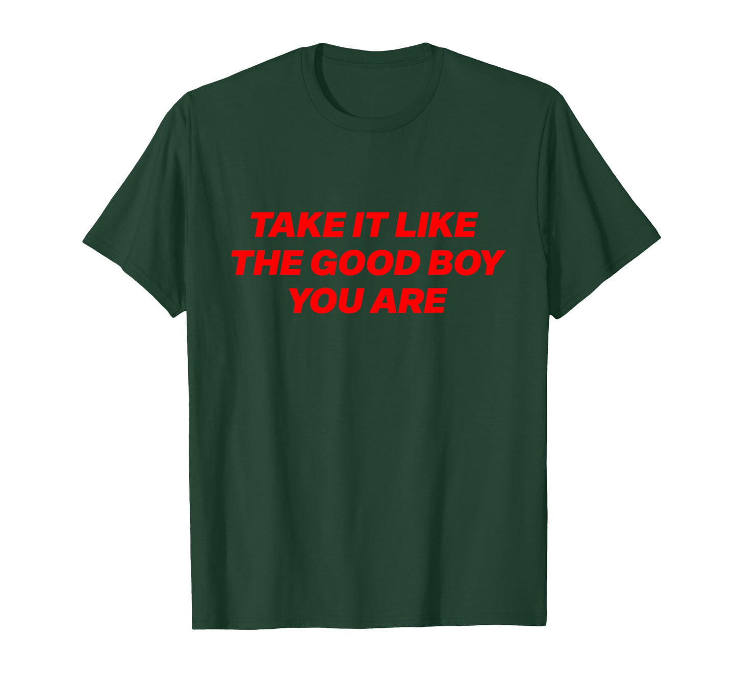 Take It Like The Good Boy You are Funny Quote T-Shirt