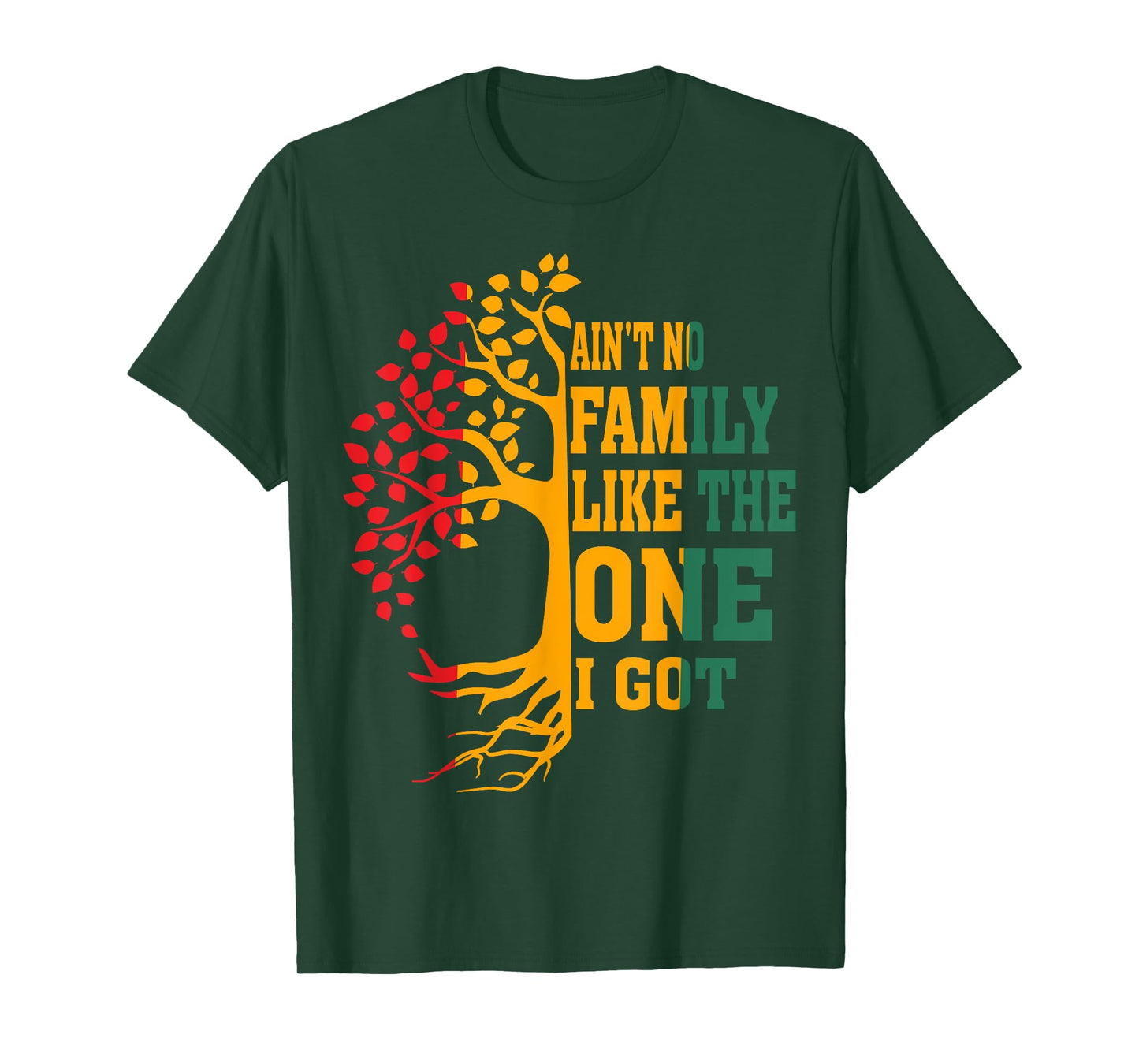 Ain't No Family Like The One I Got Funny Family Reunion 2024 T-Shirt