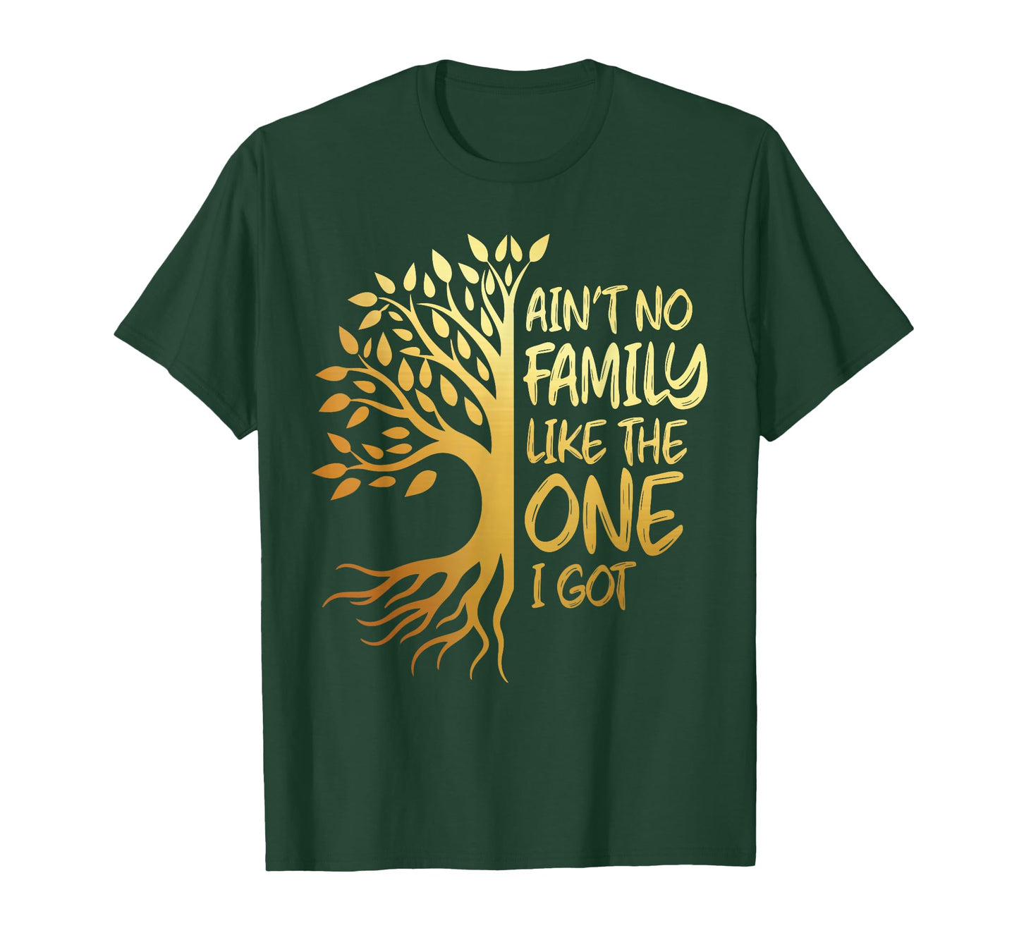 Ant no family like the one i got family tree reunion 2024 T-Shirt