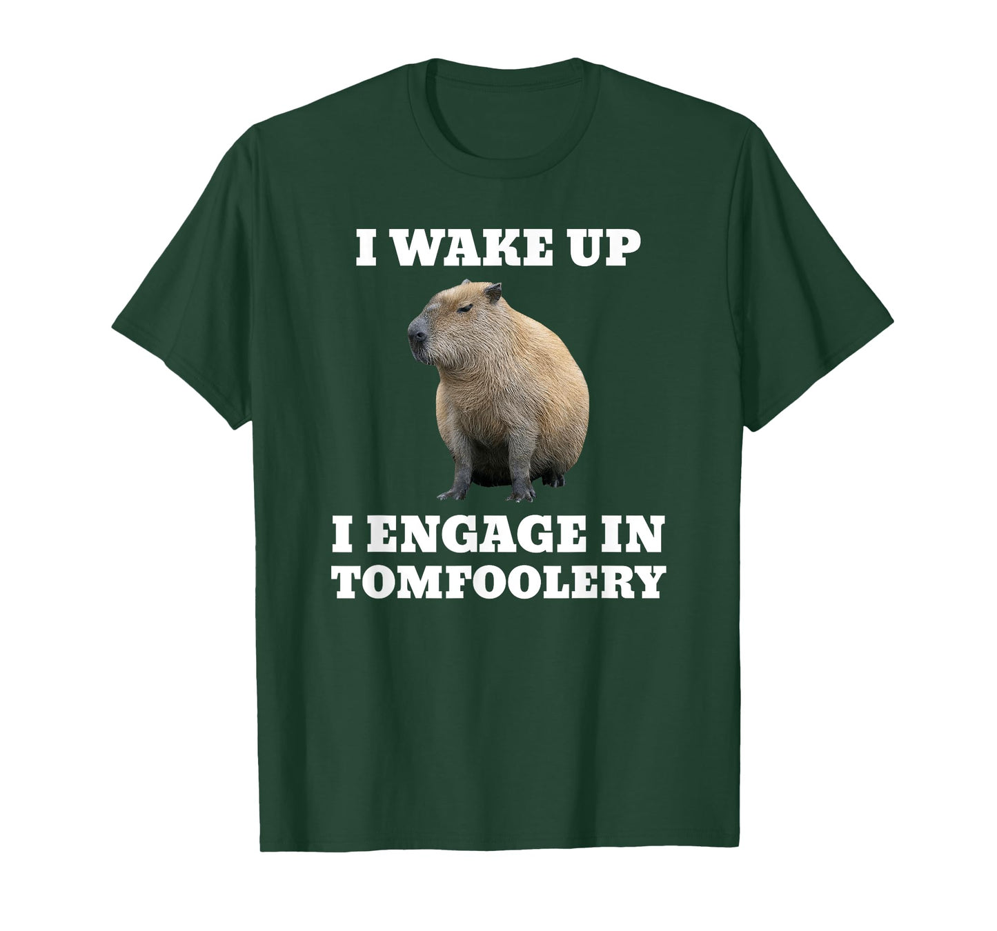 I Wake Up I Engage In Tomfoolery Meme Capybara T-Shirt