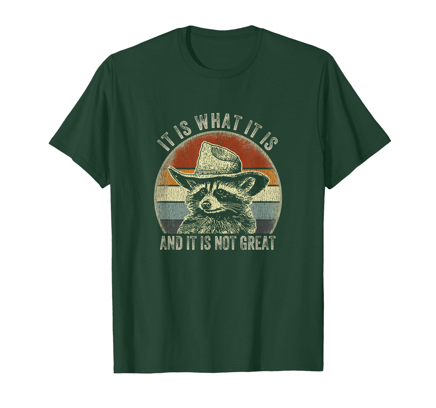 It Is What It Is And It Is Not Great Raccoon Trash Panda T-Shirt