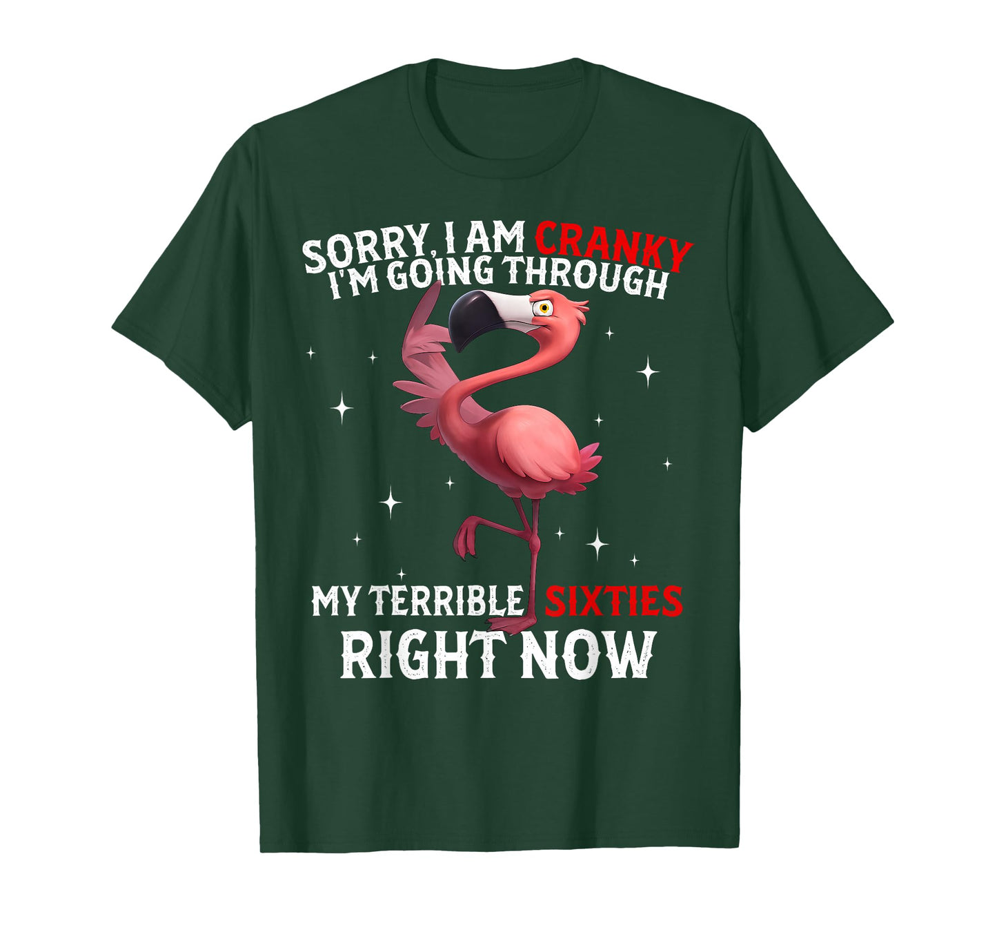 Sorry I Am Cranky I'm Going Through My Terrible Sixties T-Shirt