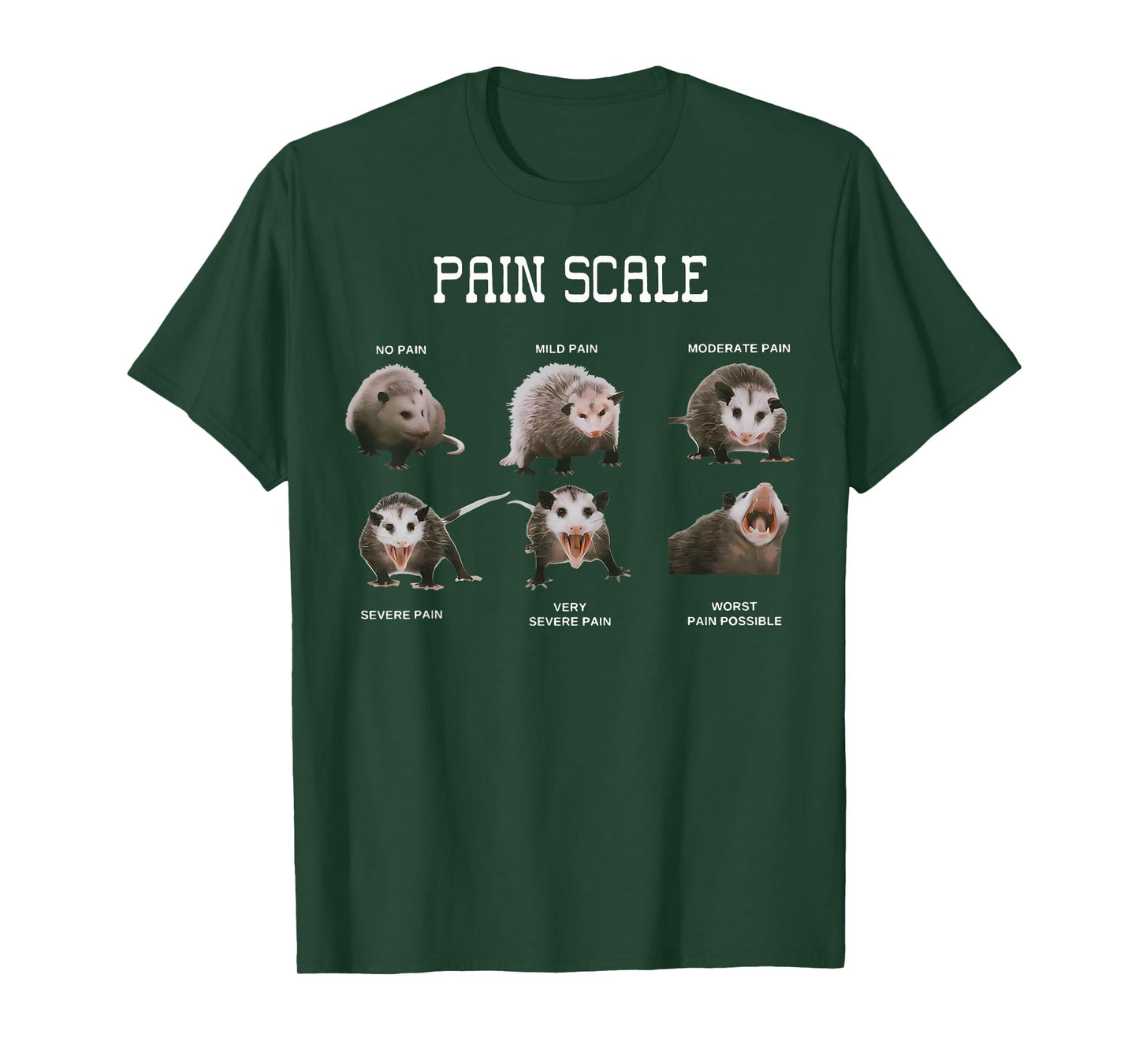 Pain Scale Pain Assessment Opossum Trauma Nurse Triage T-Shirt