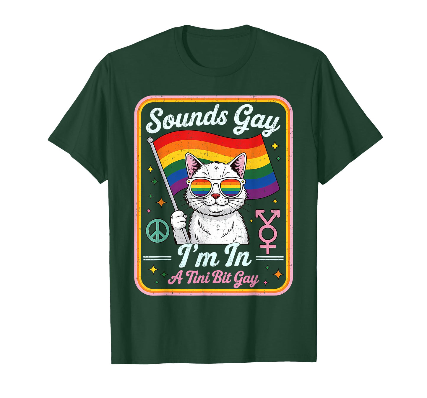 Hilarious LGBTQ Cat Holding Flag with A Tini Bit Gay Quote T-Shirt for Men Women Kids