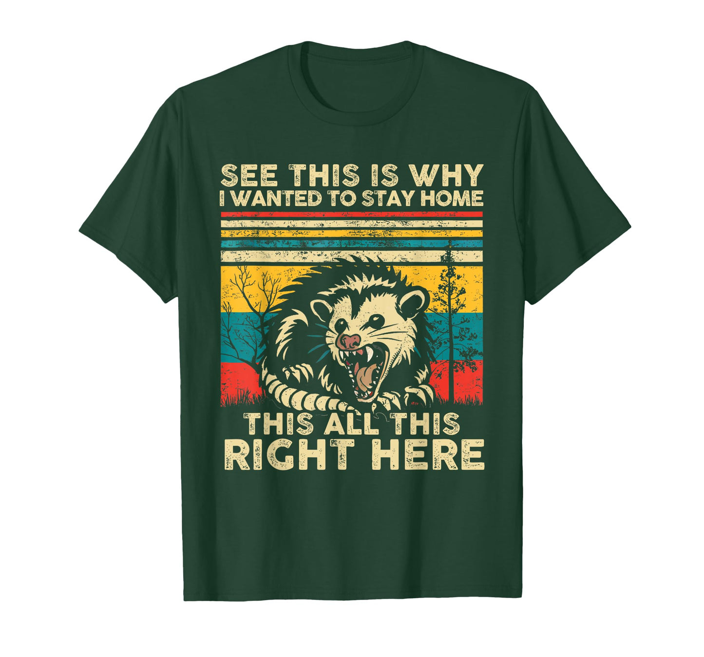 See This Is Why I Wanted To Stay Home This All This Right T-Shirt