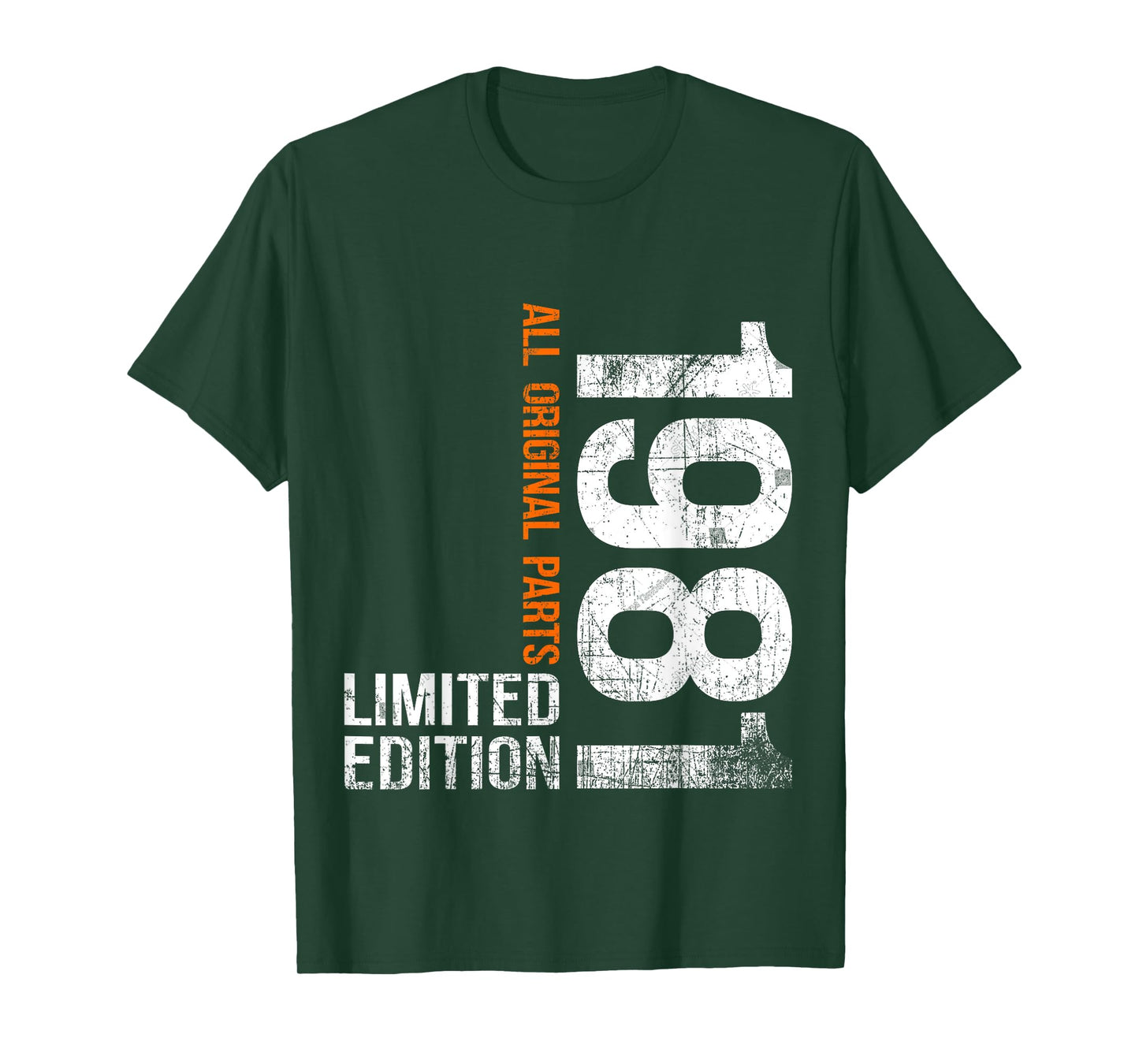 Vintage 1981 44th Birthday Gifts Men Women 44 Years Old T-Shirt