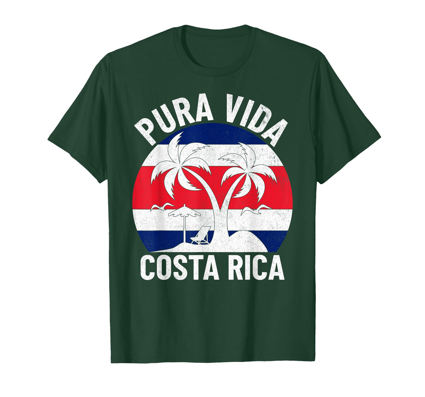 Vintage Costa Rica Flag Pura Vida Beach Summer Vacation T-Shirt