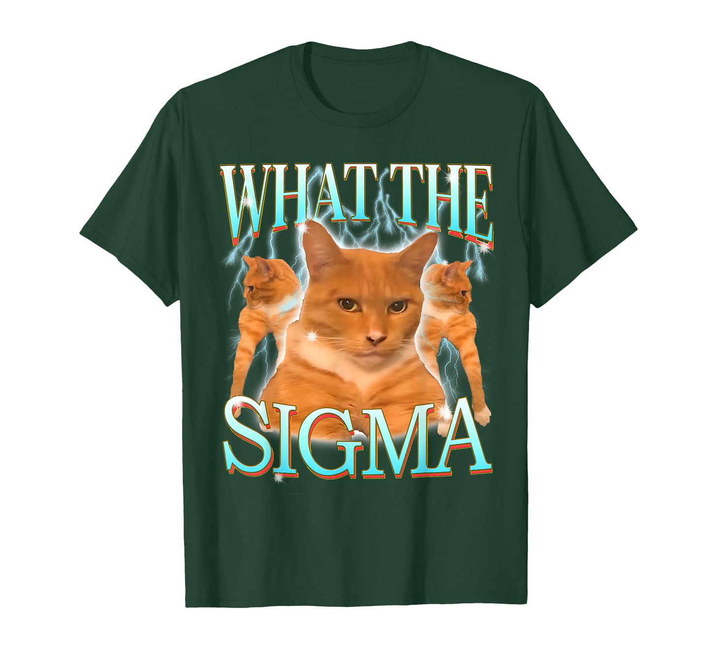 What The Sigma Meme Cat Ironic Brainrot Y2k Funny Meme T-Shirt