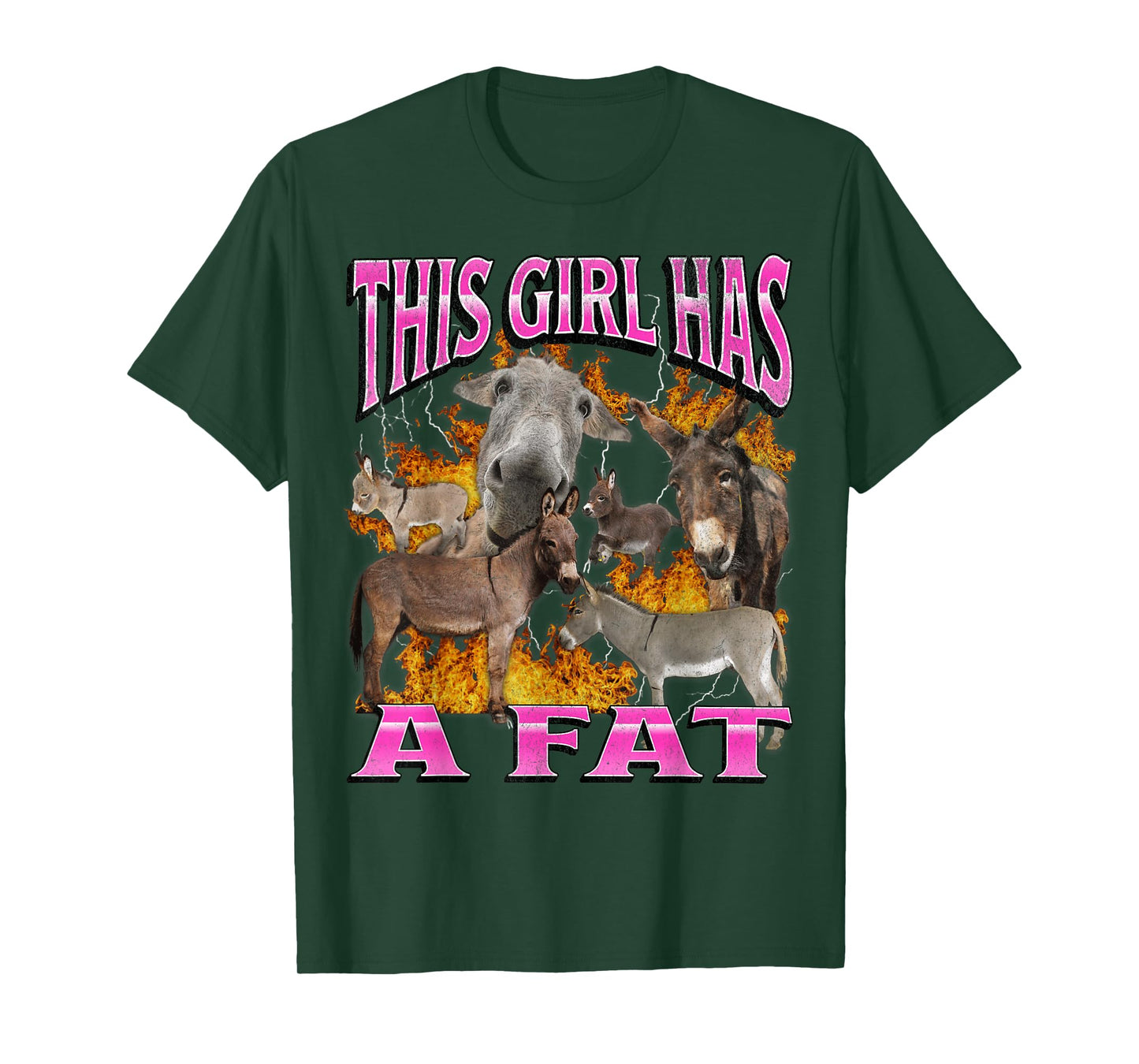 This Girl Funny Offensive Donkey Meme Bootleg Graphic T-Shirt