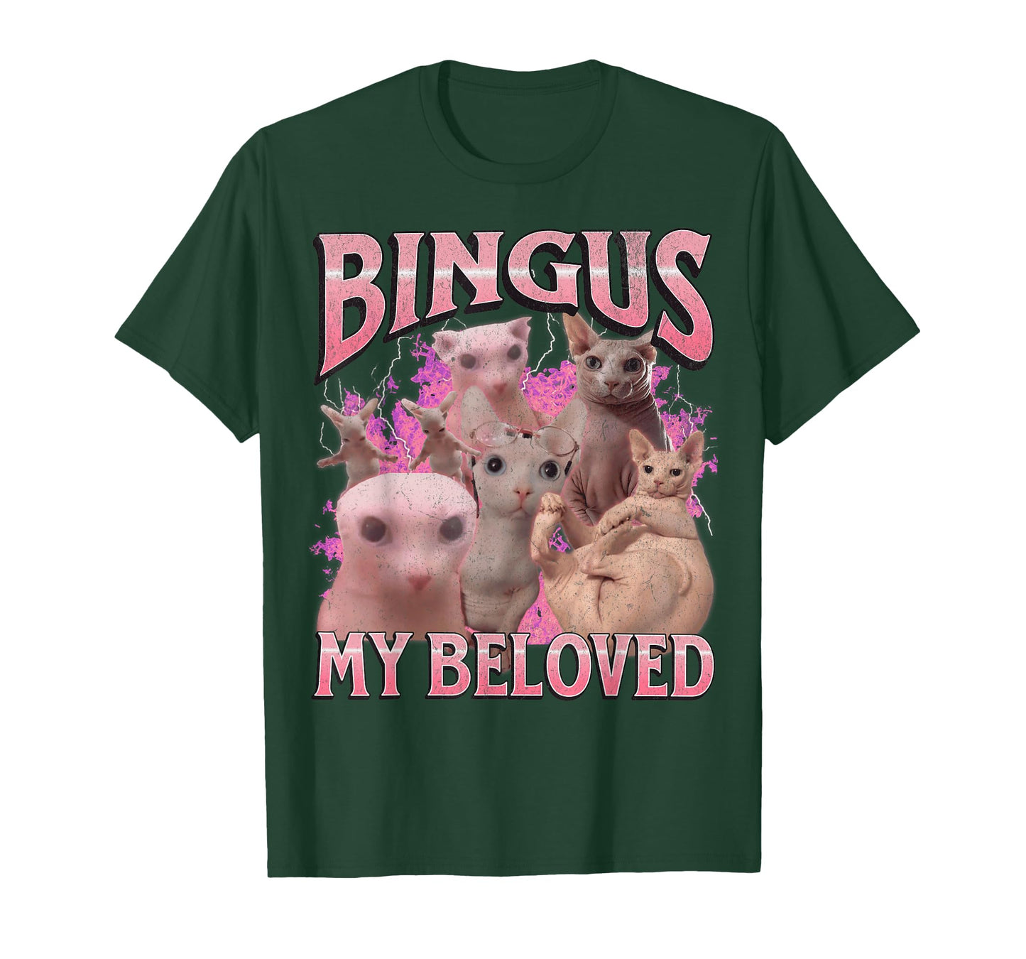 Bingus My Beloved Funny Sphinx Cat Meme Bootleg Graphic T-Shirt for Men Women Kids