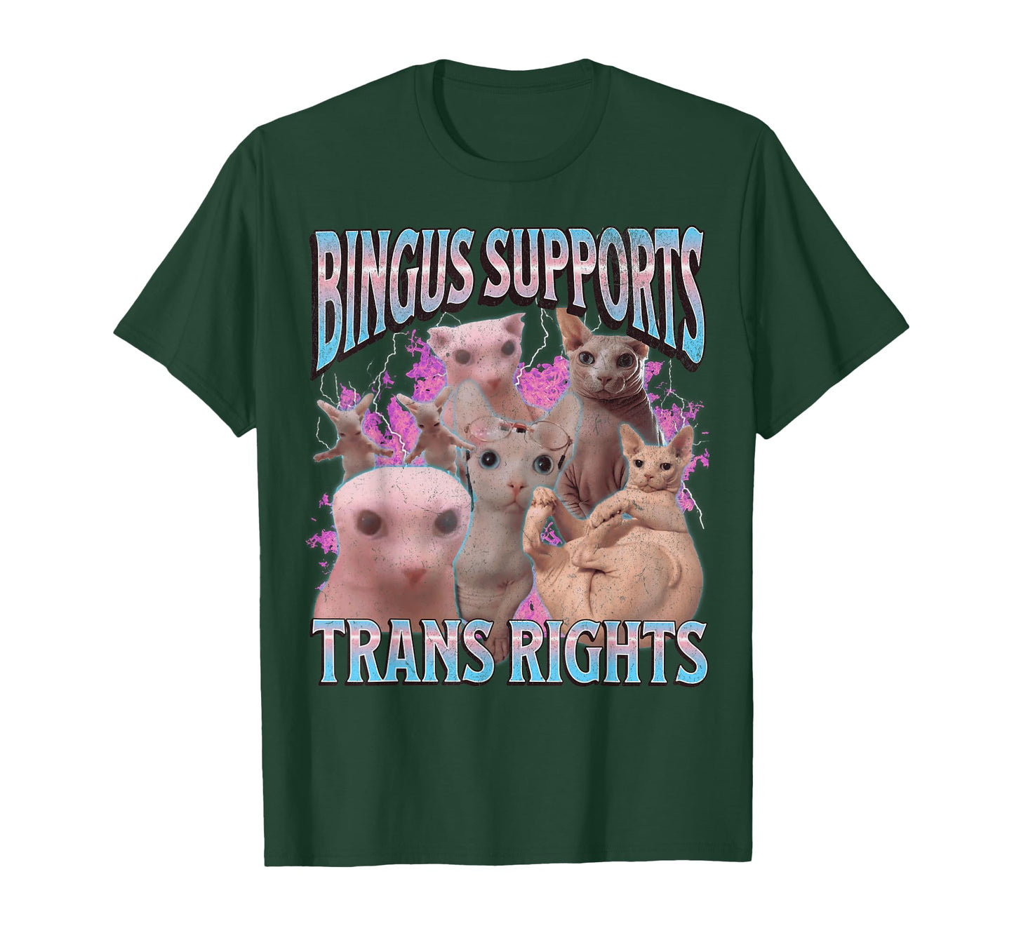 Bingus Supports Trans Rights Funny Sphinx Cat Meme Bootleg Men Women T-Shirt