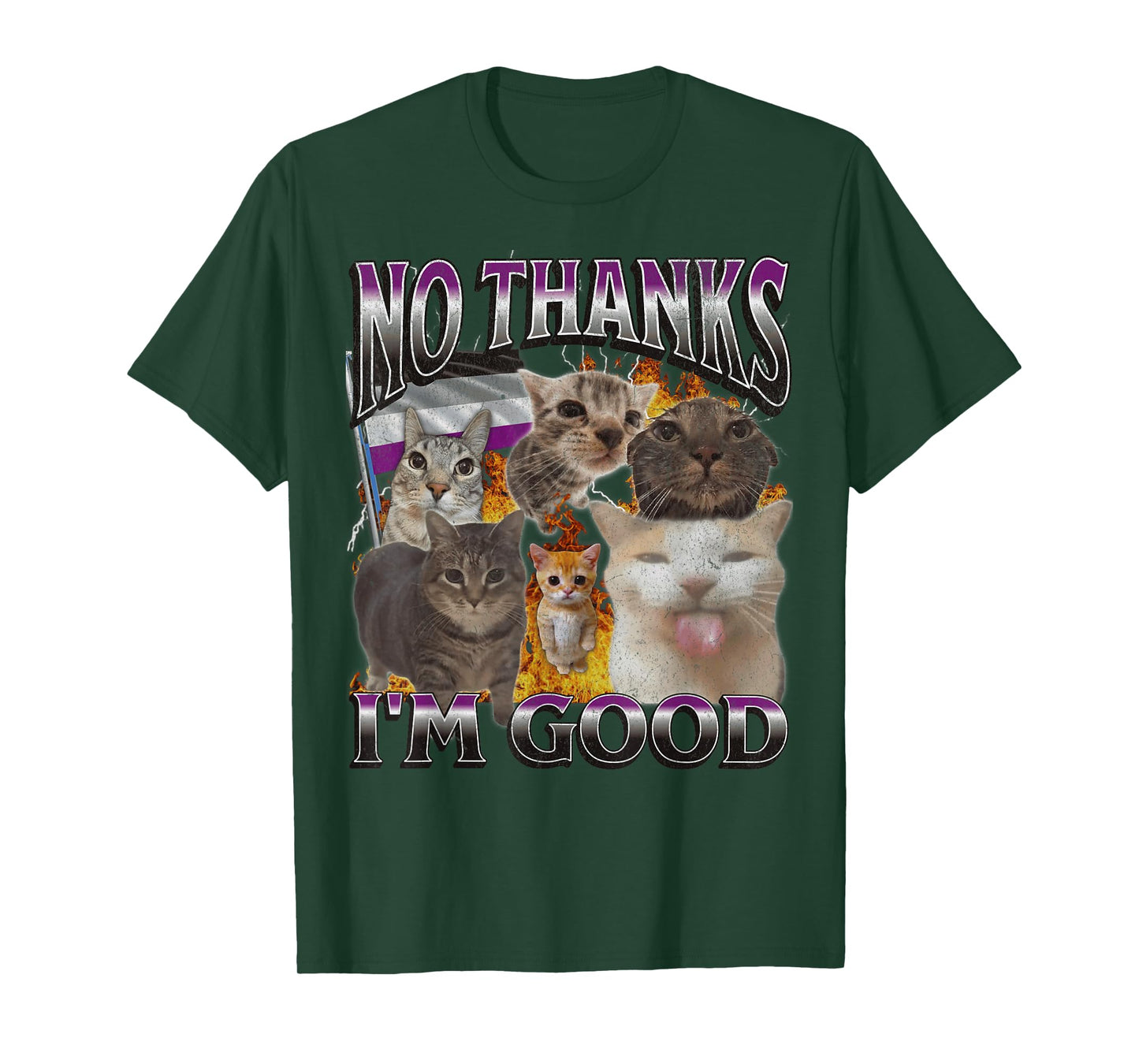 No Thanks I'm Good Funny Asexual Lgbtq Cat Meme Bootleg Men Women T-Shirt