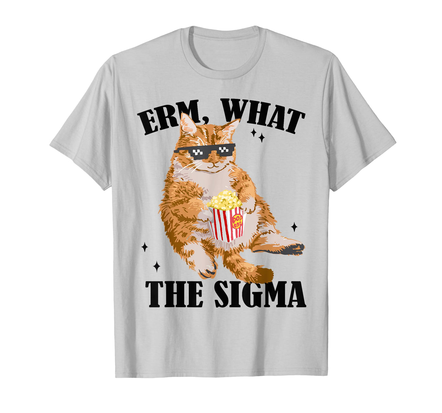 Funny Cat meme Quote Erm What Sigma For Men Women Cool Sigma T-Shirt